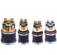  �߉�늾���| 