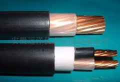  �͟��o�u������| 